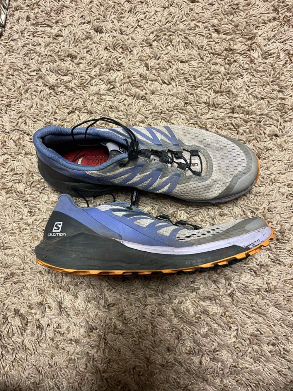 Salomon Women’s Blue Sense Ride 4 Running Shoes